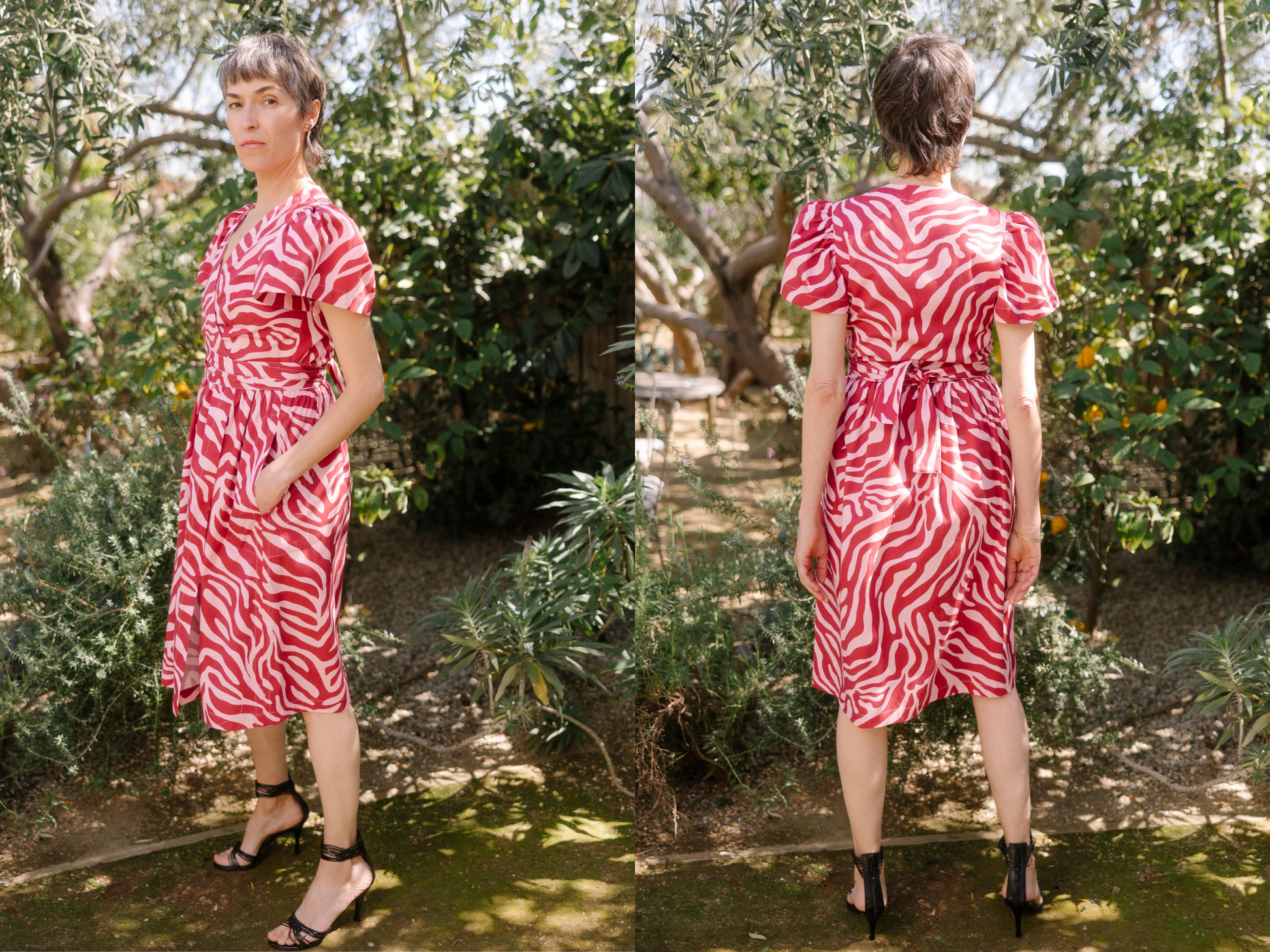 red-pink-zebra