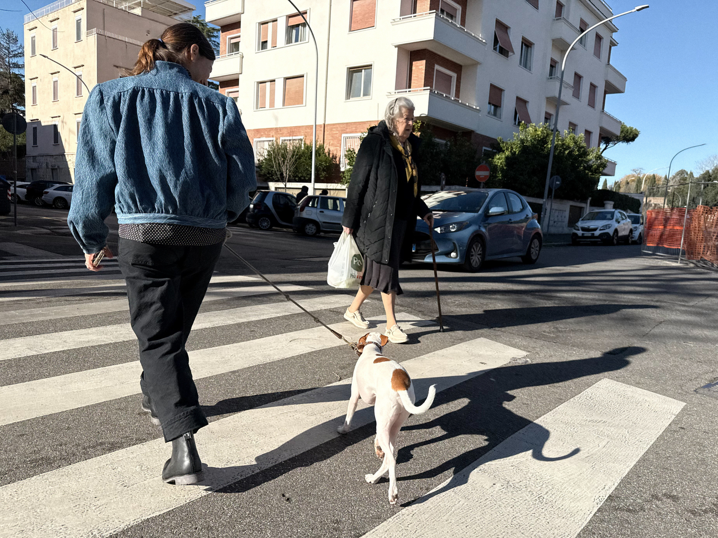 japanese-dobby-denim